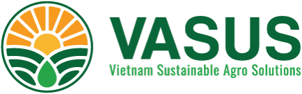 VASUS
