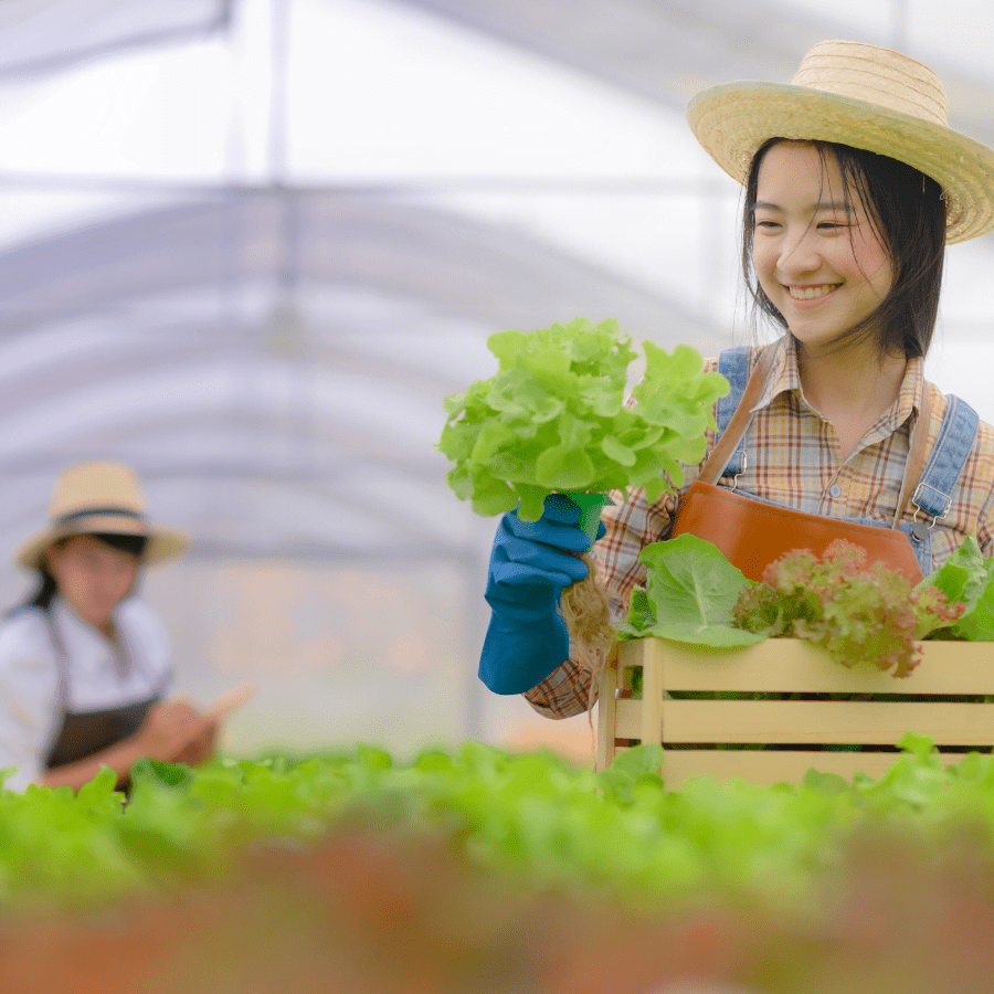 Xây dựng nông trại